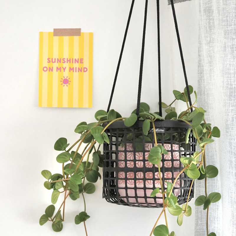 Panier suspendu pour plante ou fruits